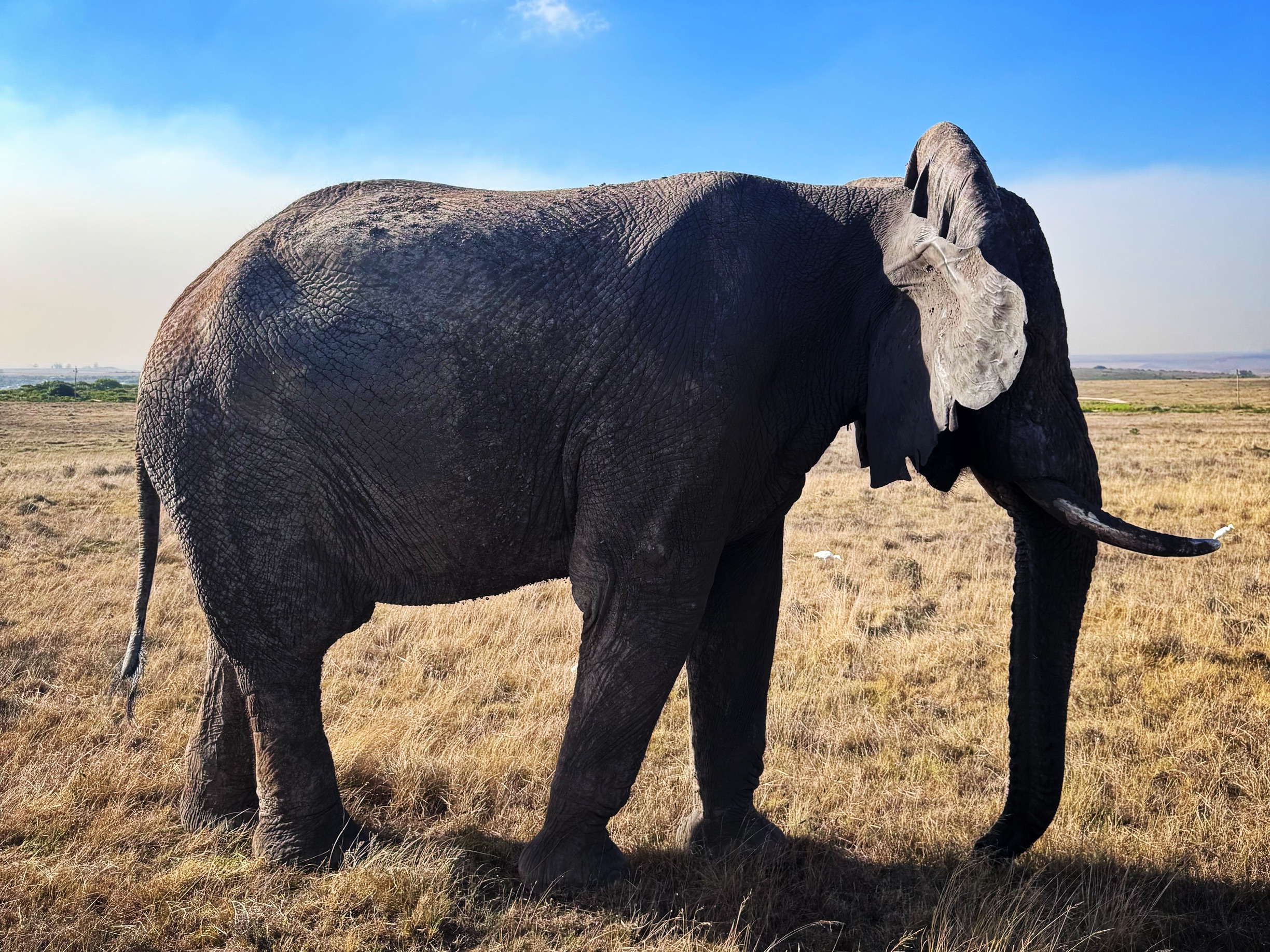 South Africa travel guide for LGBTQ+ travelers